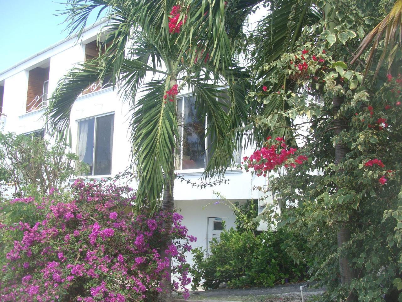 Coral Lane Beach Apartments Saint James Exterior photo